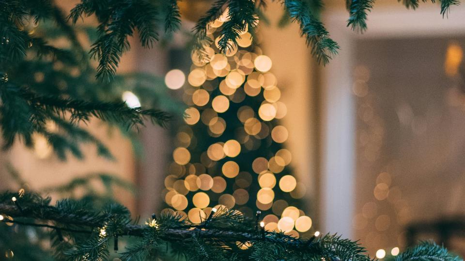 Lenkje til artikkel: Informasjonsskriv Desember 2025
